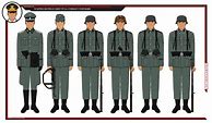 Image result for Waffen SS Officer Uniform