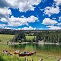 Image result for Backpacking and Camping at Grand Mesa Lakes with Tiger Trout