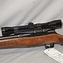 Image result for Savage 22 Mag Rifles