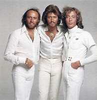 Image result for Bee Gees Pants
