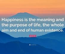 Image result for Philosophy Quotes On Happiness