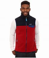 Image result for Patagonia Synchilla Vest