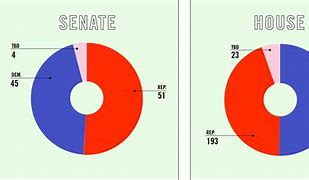 Image result for Senate Election