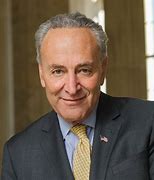 Image result for Schumer Party