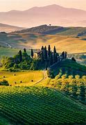Image result for Wineries in Tuscany Italy