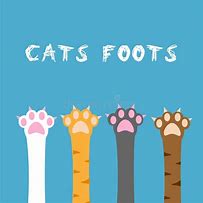 Image result for Cat Feet Cartoon
