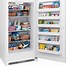 Image result for Frigidaire Gallery Frost Free 6 Cu FT Upright Freezer