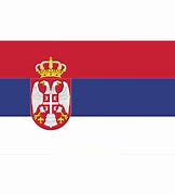 Image result for Serbia War Lost
