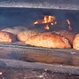 Image result for wood fired bread oven