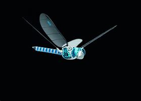 Image result for Robot Insect