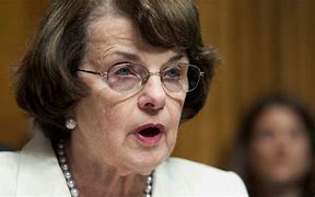 Image result for Lawyer Feinstein
