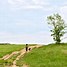Image result for Shelby Farms Park Memphis TN