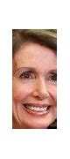 Image result for Nancy Pelosi Side Profile