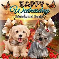 Image result for Daily Quote Wednesday Puppy's