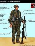 Image result for Waffen SS Combat Uniform
