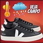 Image result for Veja Campo vs Everlane Sneakers