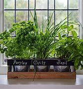 Image result for Indoor Herb Garden Planter Boxes