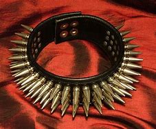 Image result for Spiked Collar