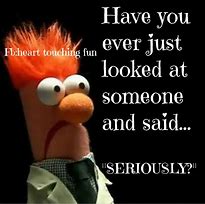 Image result for Seriously Funny Quotes