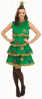 Image result for Christmas Fancy Dress Costumes