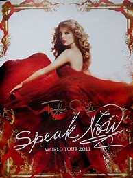 Image result for Speak Now World Tour Silouette