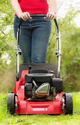 Image result for Petrol Lawn Mower