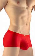 Image result for Men's Bag Underwear