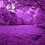 Image result for Nature Shots