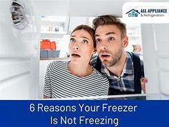 Image result for Sub-Zero Freezer Not Freezing
