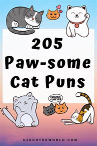 Image result for Clever Cat Puns