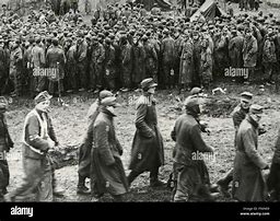 Image result for German Prisoners After the War