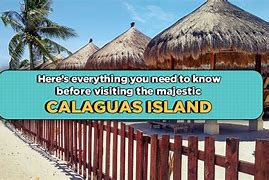 Image result for Roger Foster Indian Island