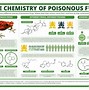 Image result for How to Create Amino Acid Poster