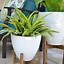 Image result for Plant Stand Ideas