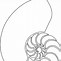 Image result for Sea Shell Outline