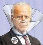 Image result for Joe Biden Balloon