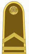 Image result for Lithuanian Army Ranks