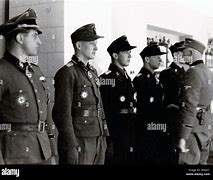 Image result for Waffen SS Panzer Division Uniforms