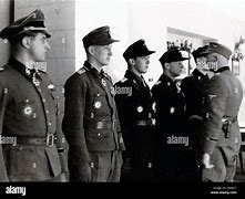 Image result for Der Waffen SS