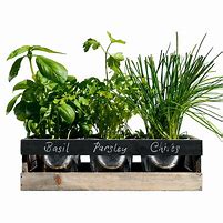 Image result for Indoor Herb Planter Box