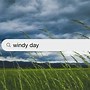 Image result for Windy Day Photos