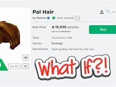 Image result for Roblox Pal Hair