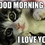 Image result for Funny Love Quotes for Girlfriend