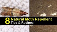 Image result for DIY Moth Repellent