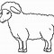 Image result for Black Sheep Clip