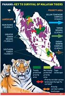 Image result for Malayan Tiger Map