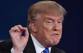Image result for Donald Trump Twitter Account