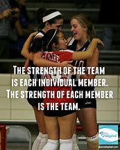 Image result for Volleyball Inspirational Quotes About Sports Teamwork