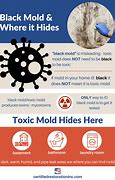 Image result for Toxic Mold Symptoms Mycotoxins