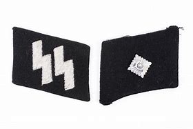 Image result for Waffen SS Collar Tabs